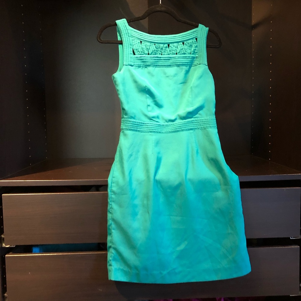 Green knee length natural waist BR dress